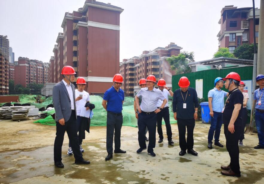 AG真人集团谋划提升年专责事情组 开展系列项目督导